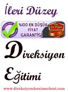 direksiyonegitimimerkezi